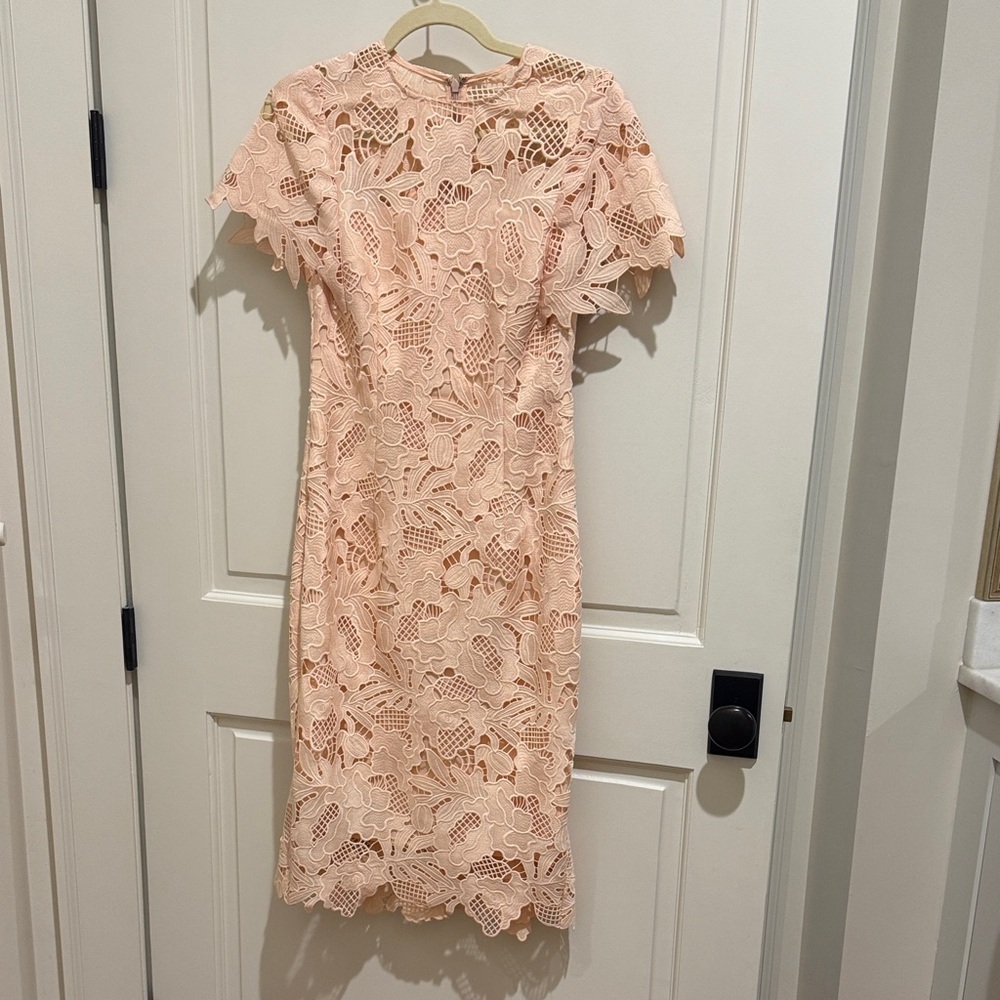 Elegant Lace Midi Dress in Blush Pink